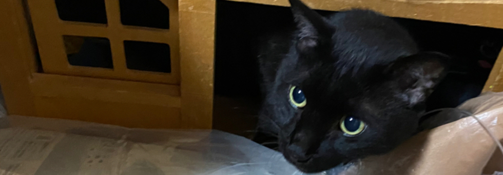 レビュアーのカバー画像