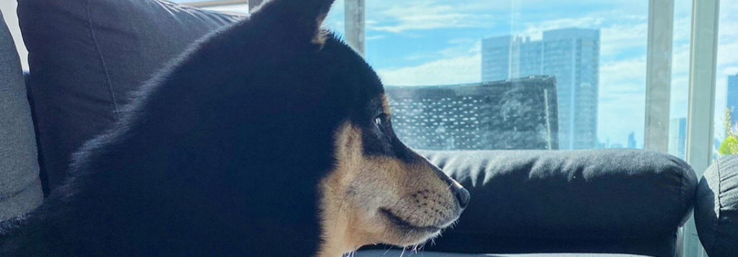 レビュアーのカバー画像