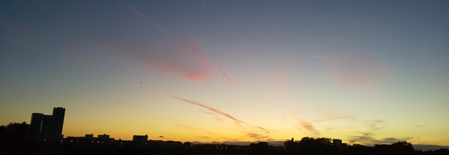 レビュアーのカバー画像