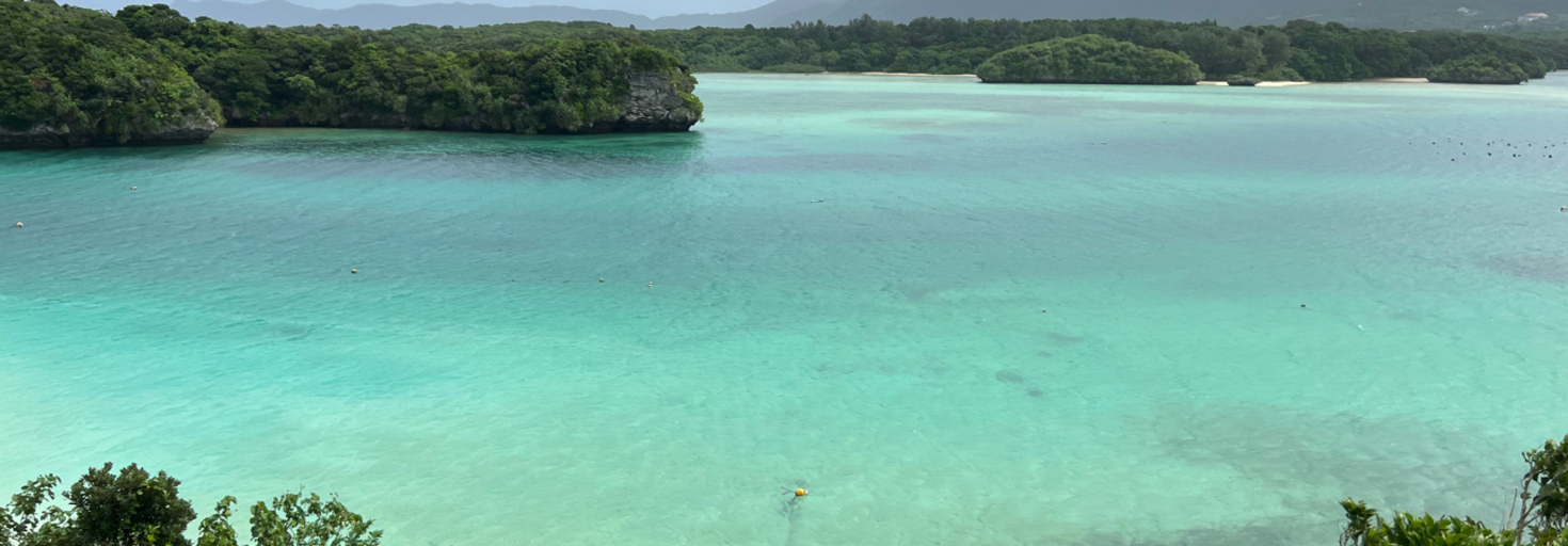 レビュアーのカバー画像