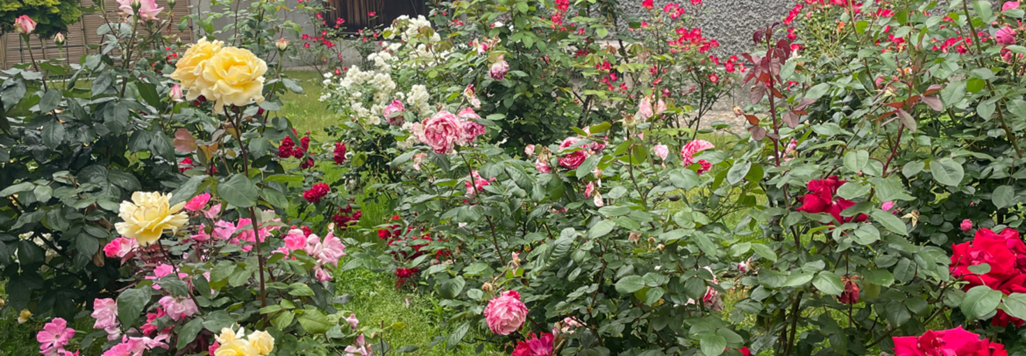 レビュアーのカバー画像