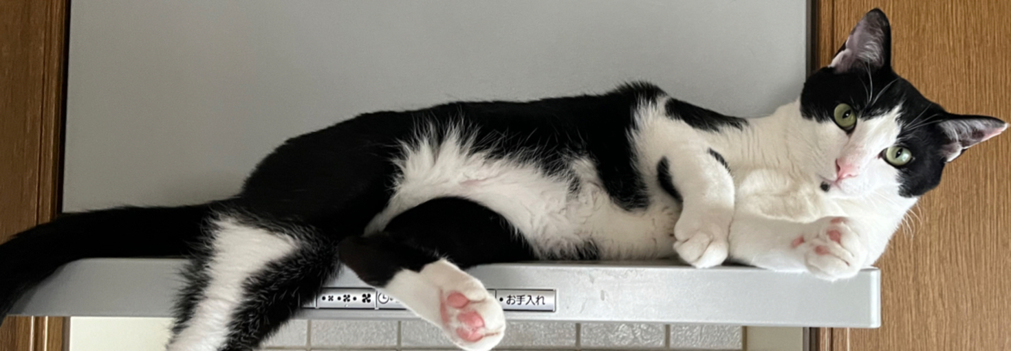 レビュアーのカバー画像