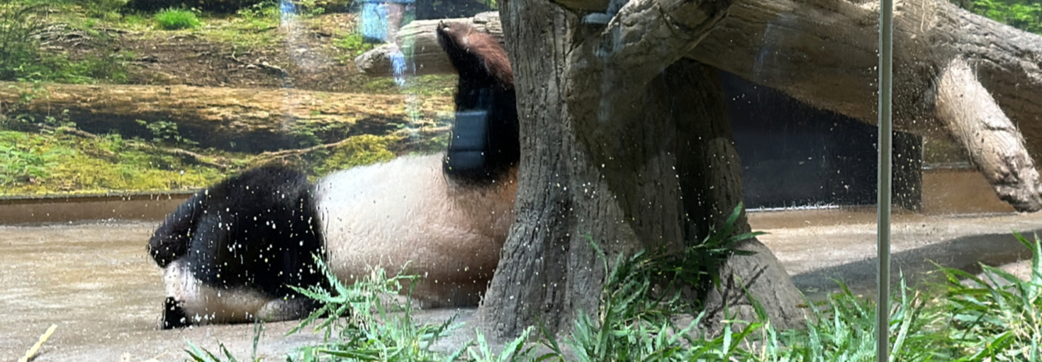 レビュアーのカバー画像