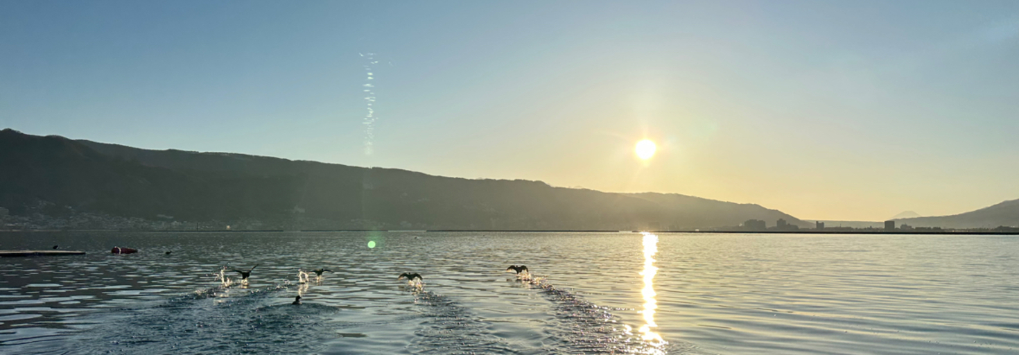 レビュアーのカバー画像