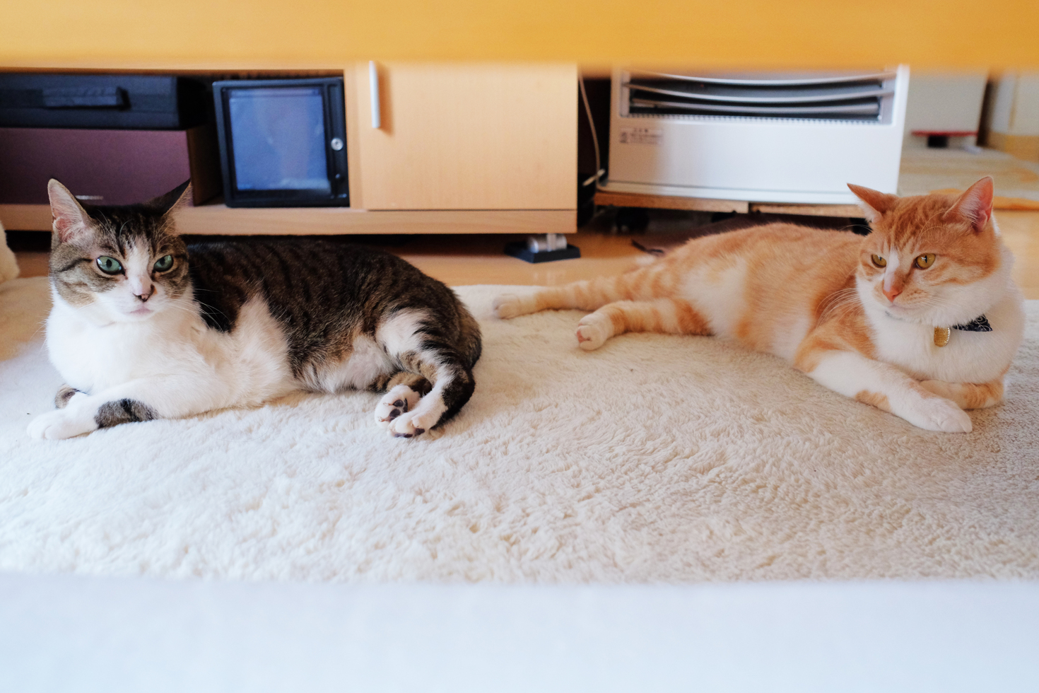 レビュアーのカバー画像