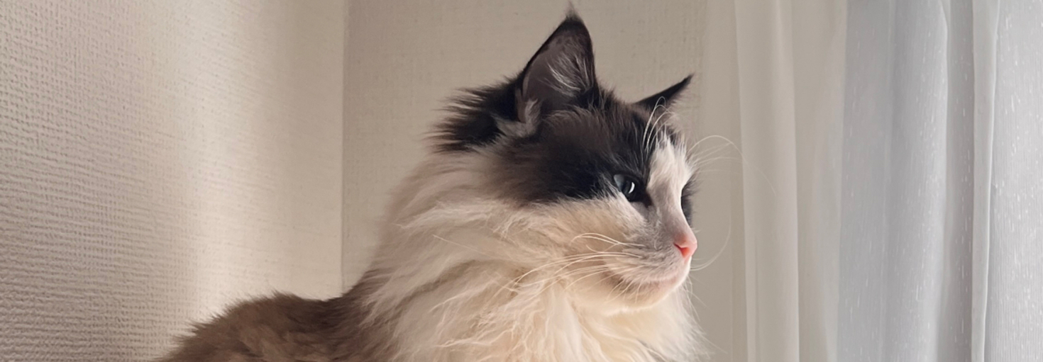 レビュアーのカバー画像