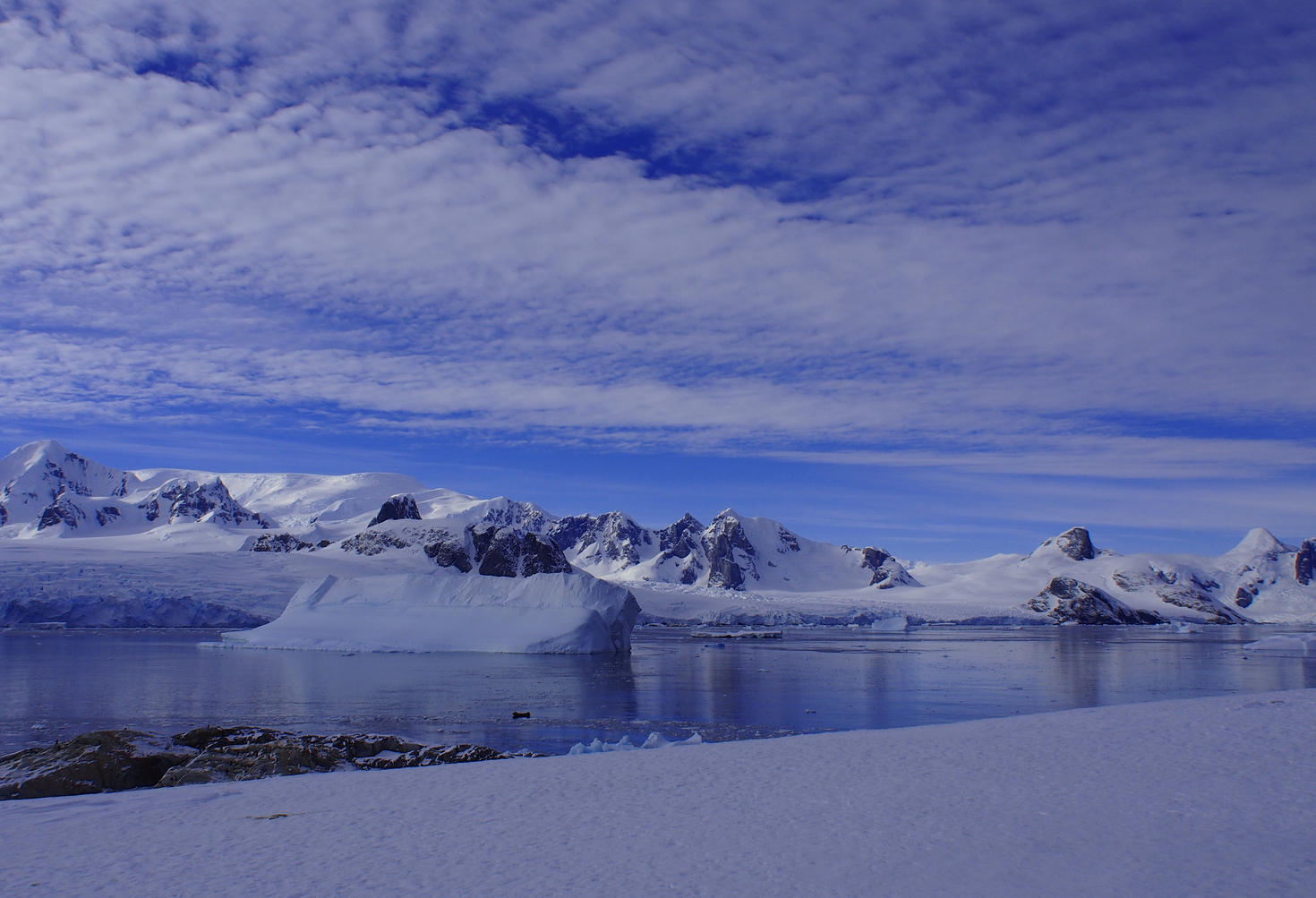 レビュアーのカバー画像