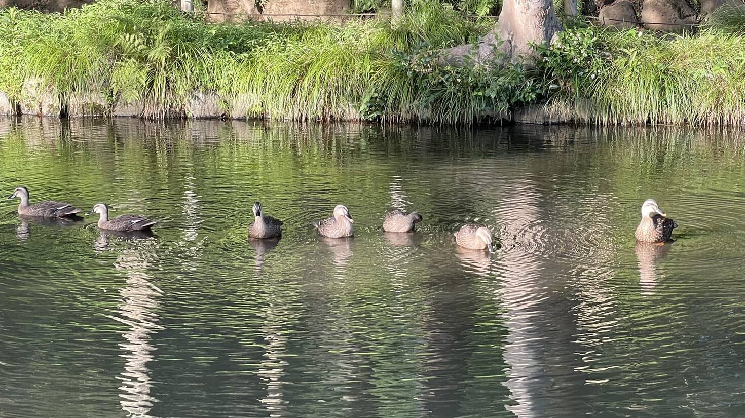 レビュアーのカバー画像