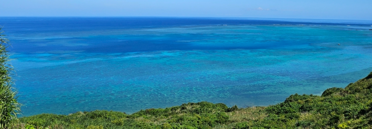 レビュアーのカバー画像