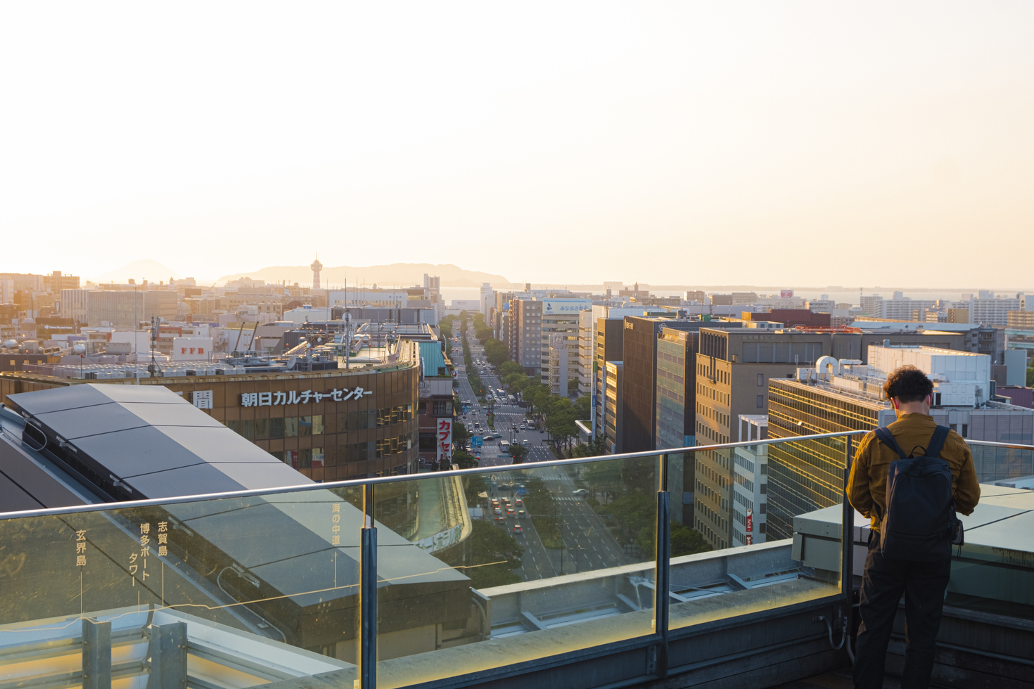 レビュアーのカバー画像