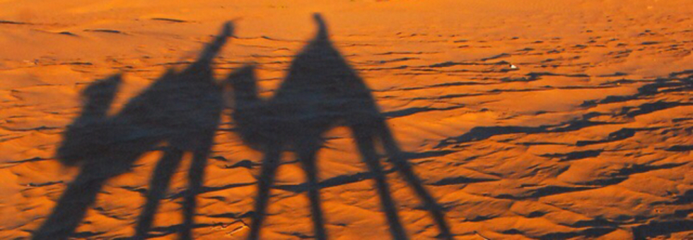 レビュアーのカバー画像