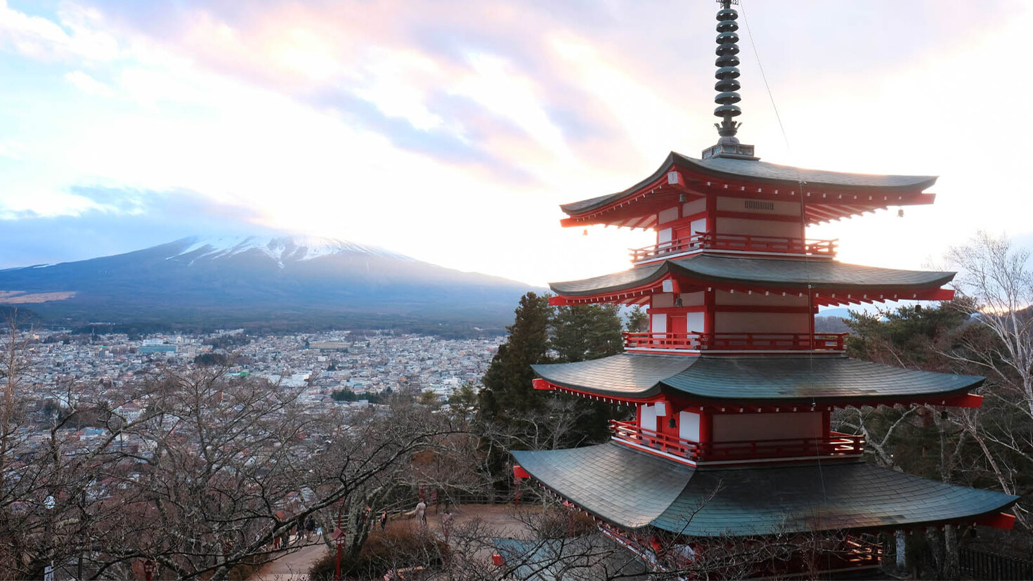 レビュアーのカバー画像