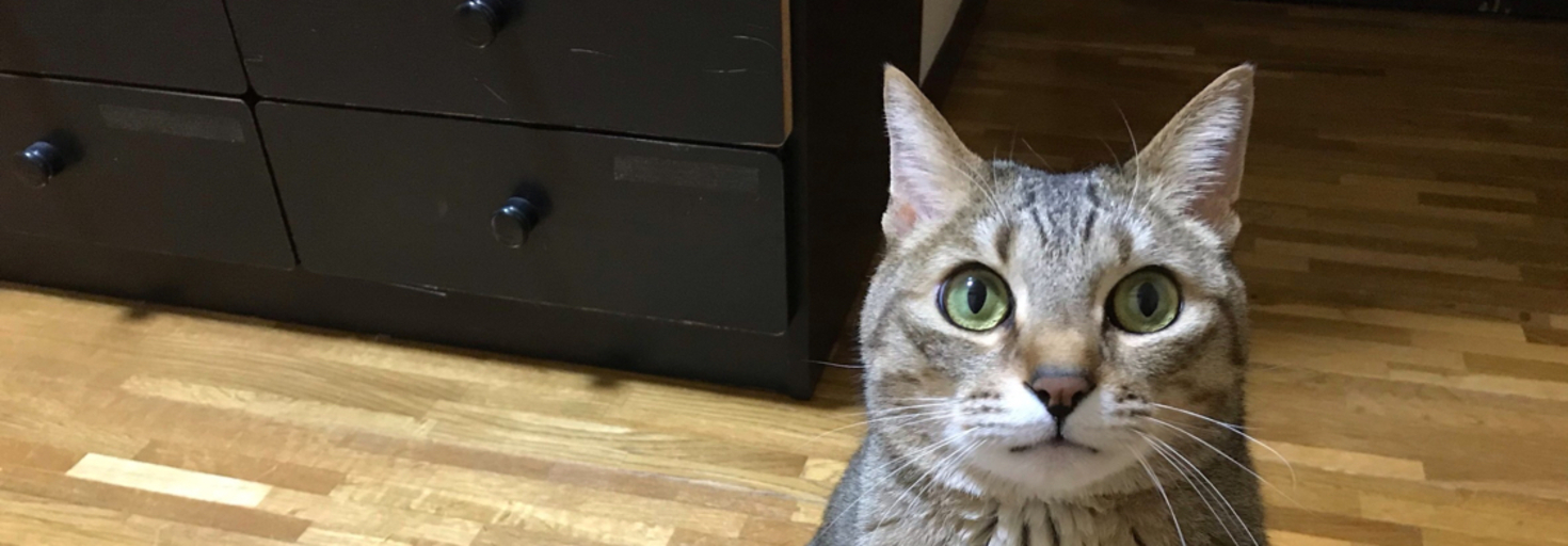 レビュアーのカバー画像