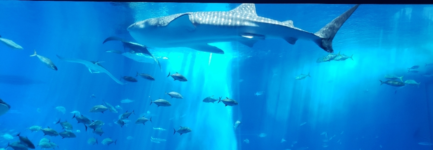 レビュアーのカバー画像