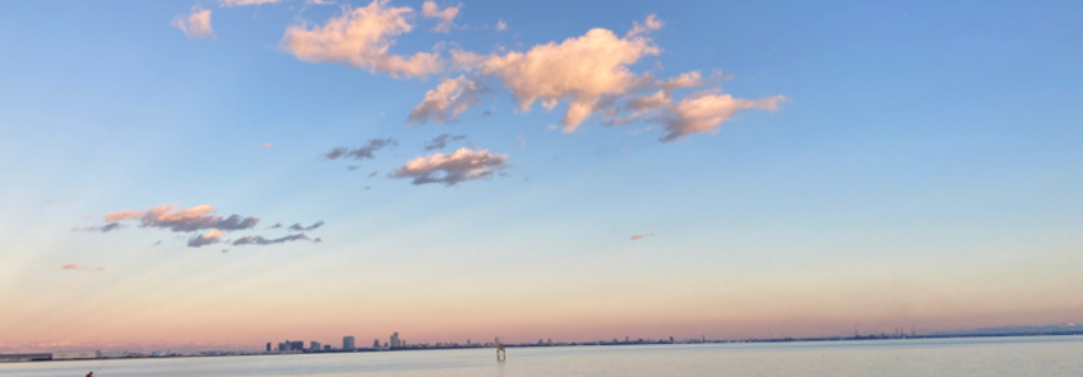 レビュアーのカバー画像