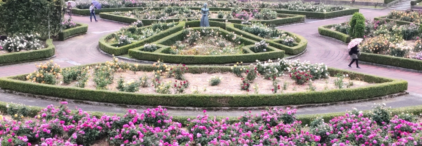 レビュアーのカバー画像