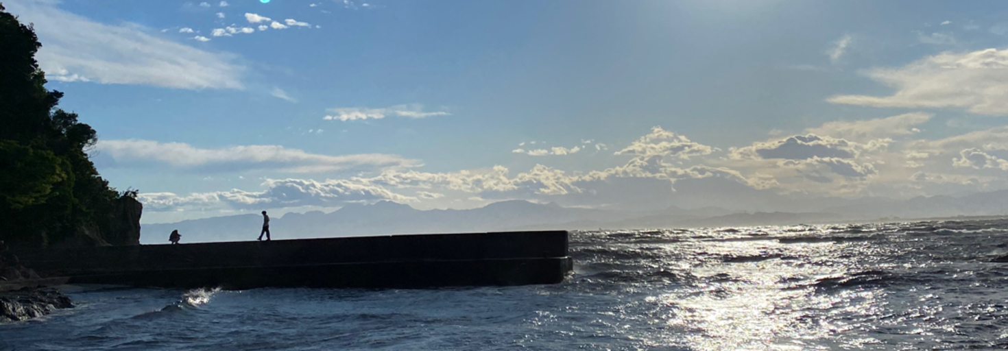 レビュアーのカバー画像