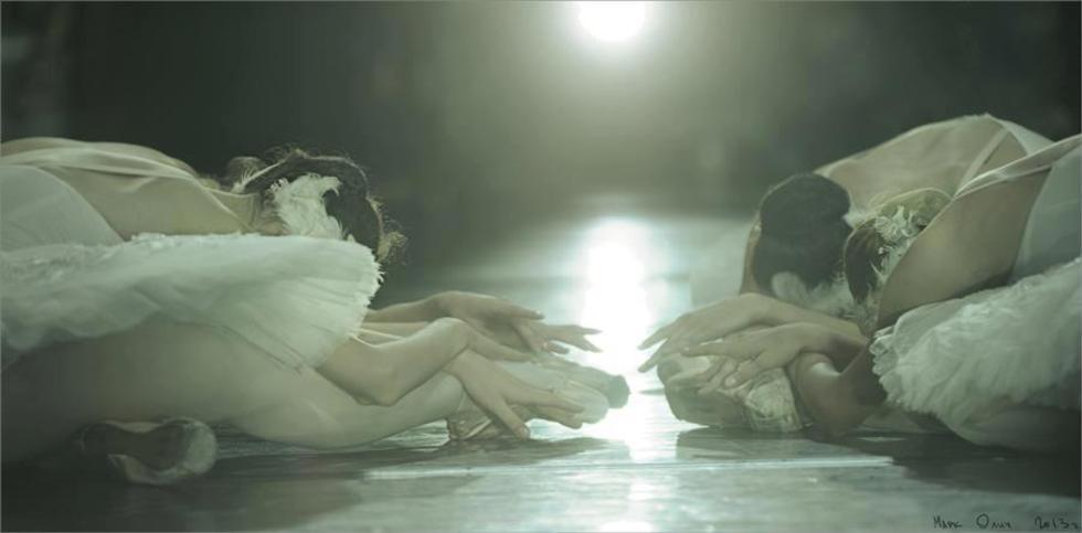 レビュアーのカバー画像