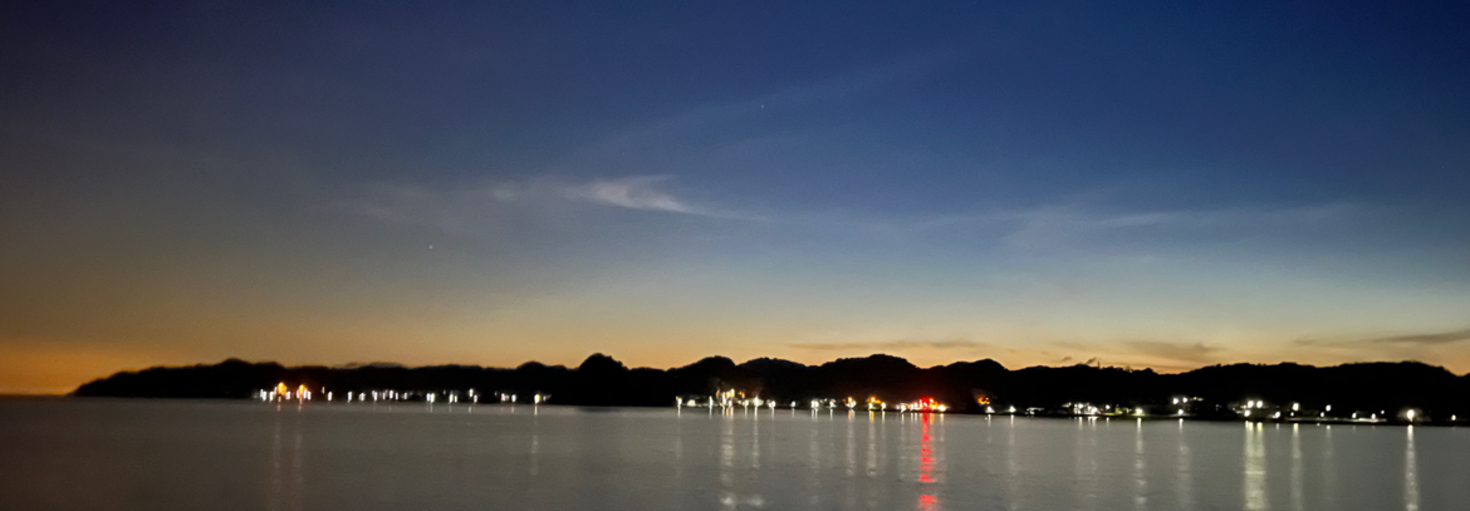 レビュアーのカバー画像