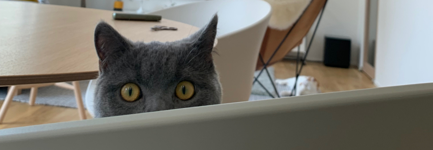 レビュアーのカバー画像