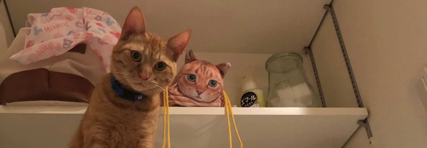 レビュアーのカバー画像