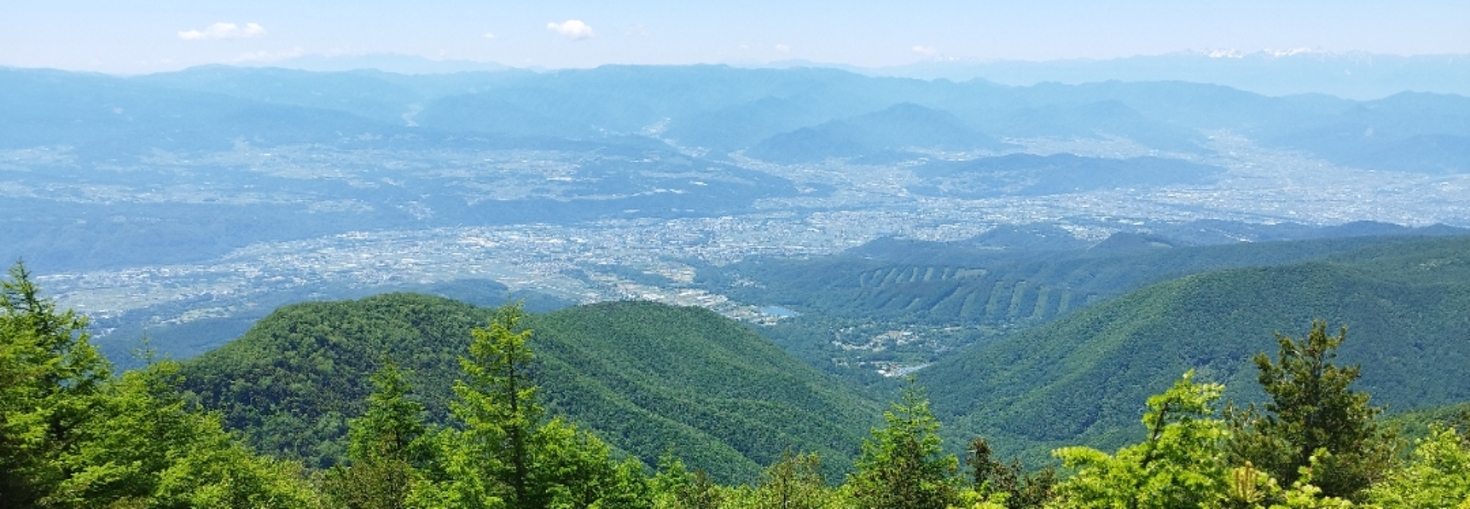 レビュアーのカバー画像