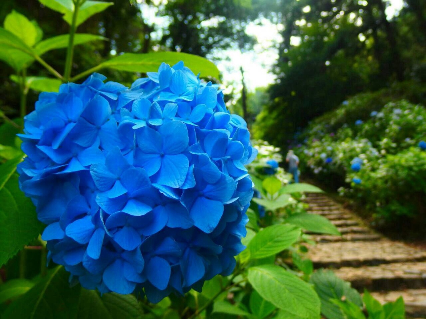 レビュアーのカバー画像