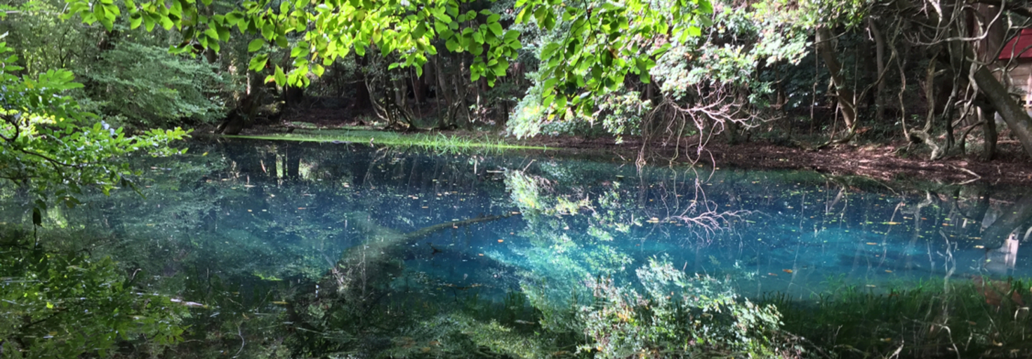 レビュアーのカバー画像