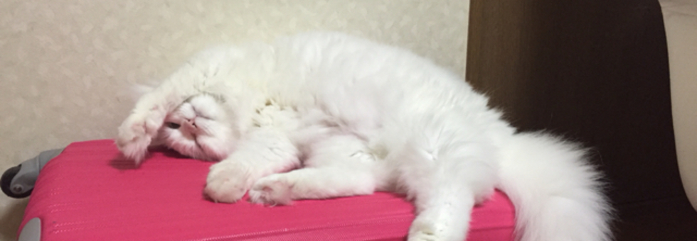 レビュアーのカバー画像