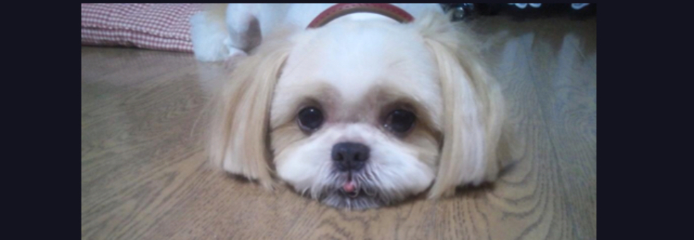 レビュアーのカバー画像