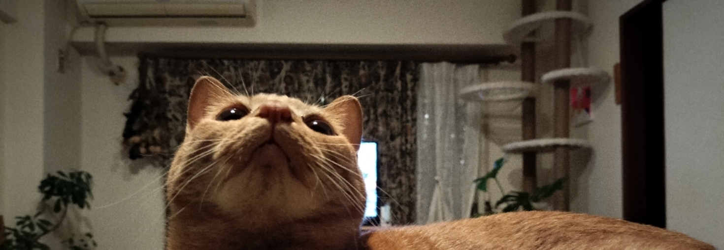 レビュアーのカバー画像