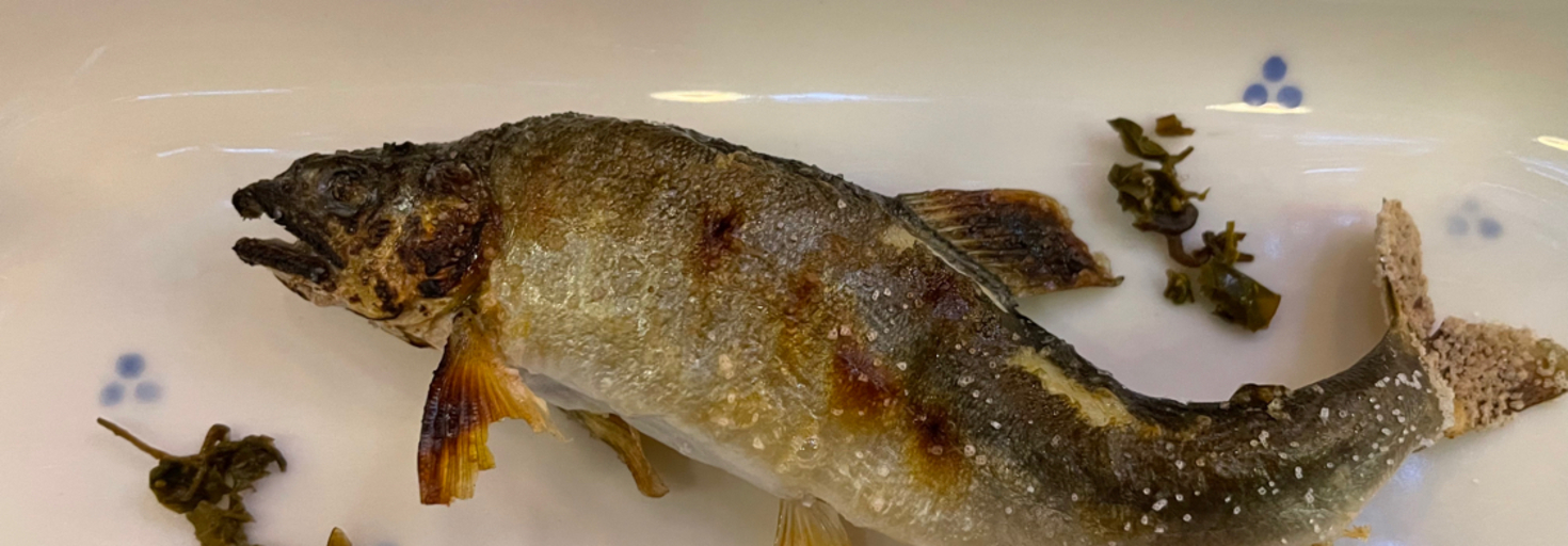 レビュアーのカバー画像