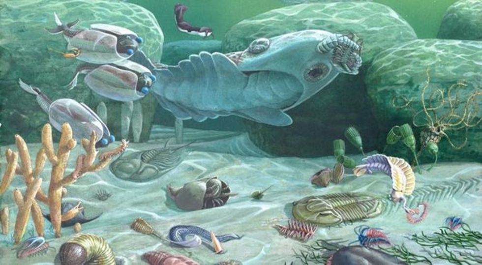 レビュアーのカバー画像