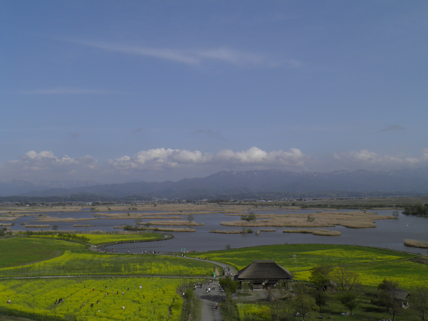 レビュアーのカバー画像