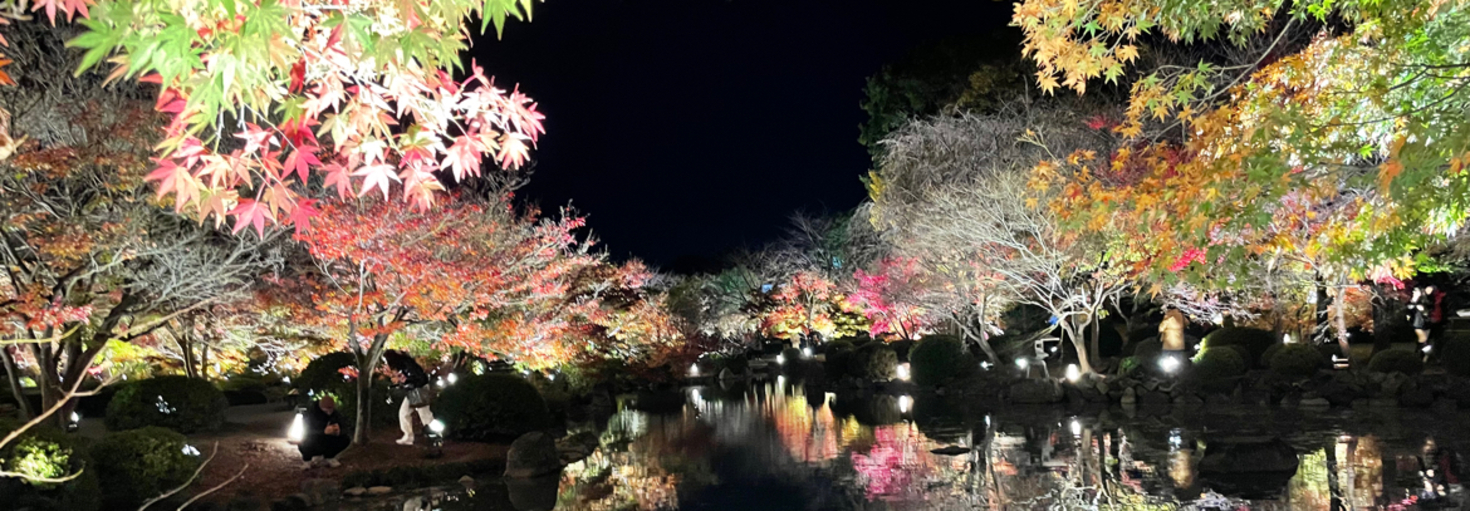 レビュアーのカバー画像