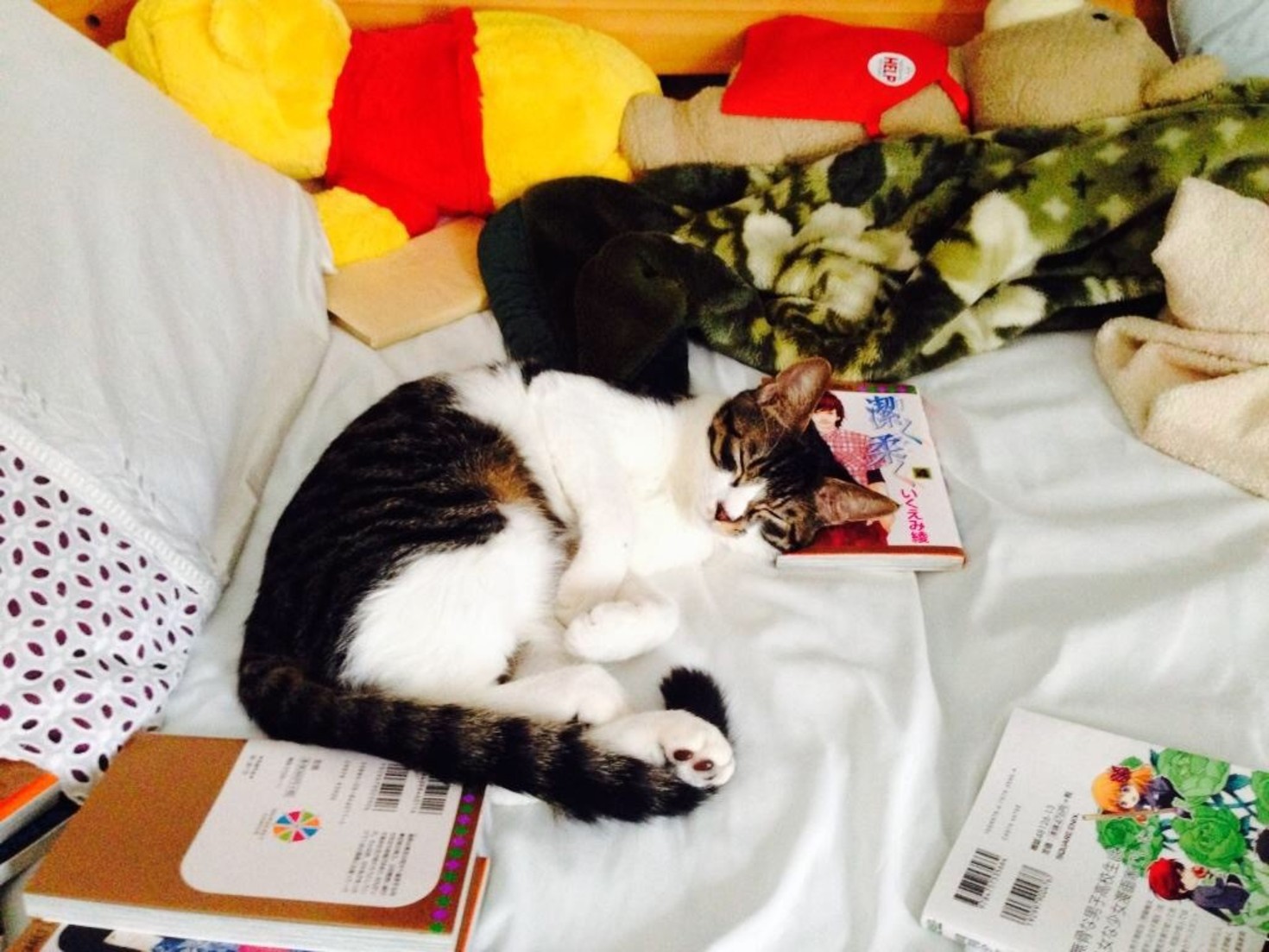 レビュアーのカバー画像