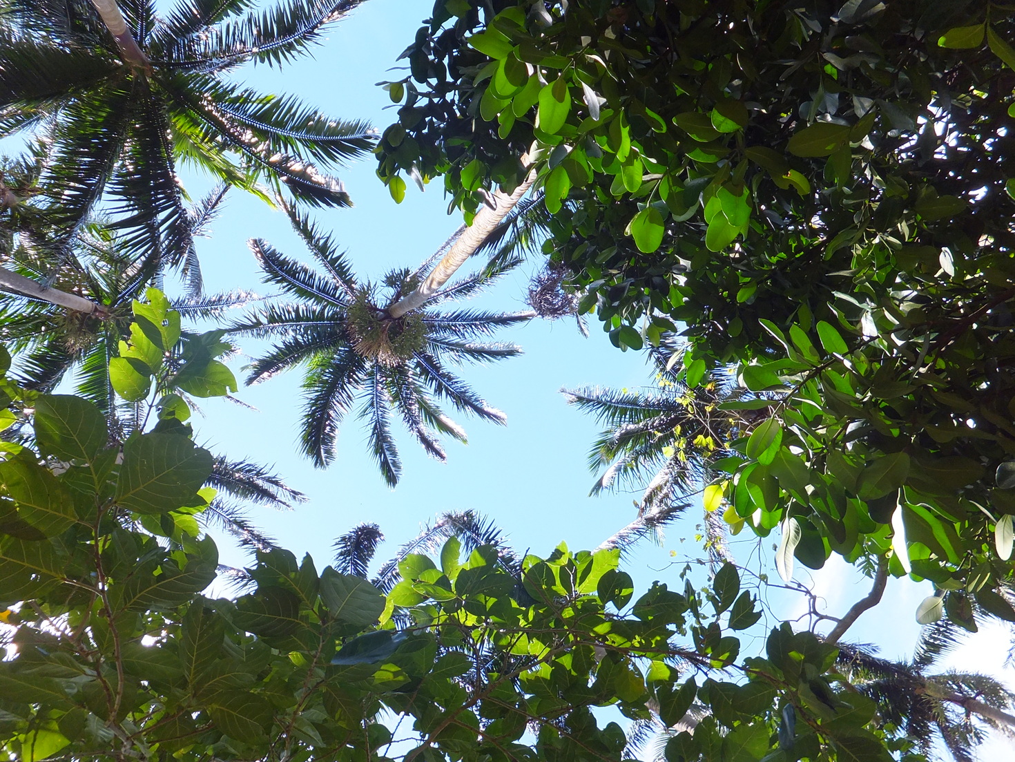 レビュアーのカバー画像