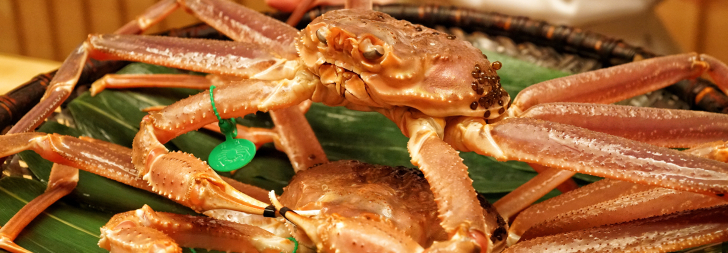 毎日外食グルメ豚さんさんのトップページ 食べログ