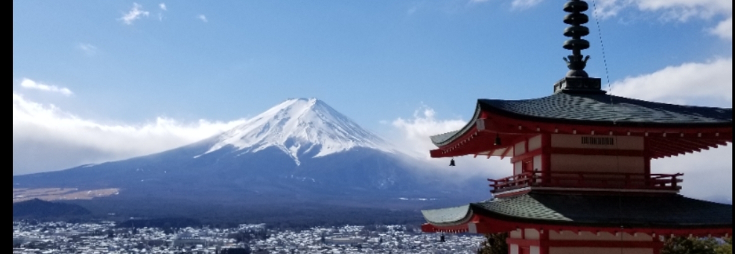 レビュアーのカバー画像