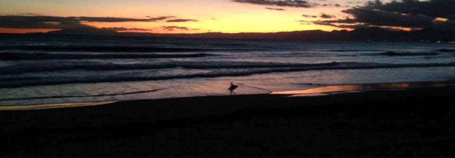 レビュアーのカバー画像