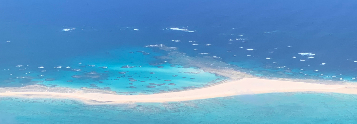 レビュアーのカバー画像