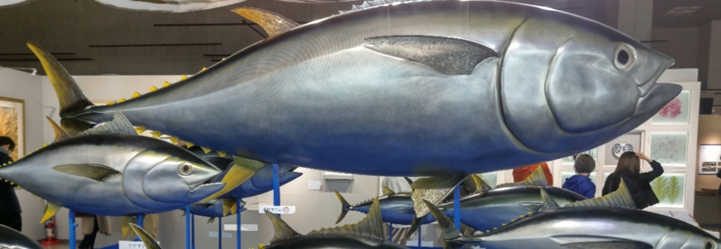 レビュアーのカバー画像