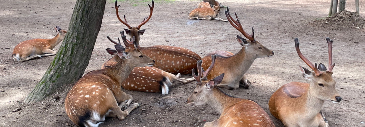 レビュアーのカバー画像