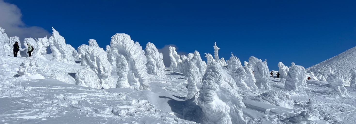 レビュアーのカバー画像