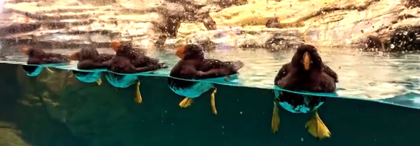 レビュアーのカバー画像