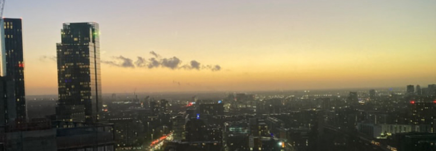 レビュアーのカバー画像