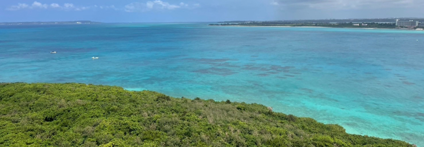 レビュアーのカバー画像