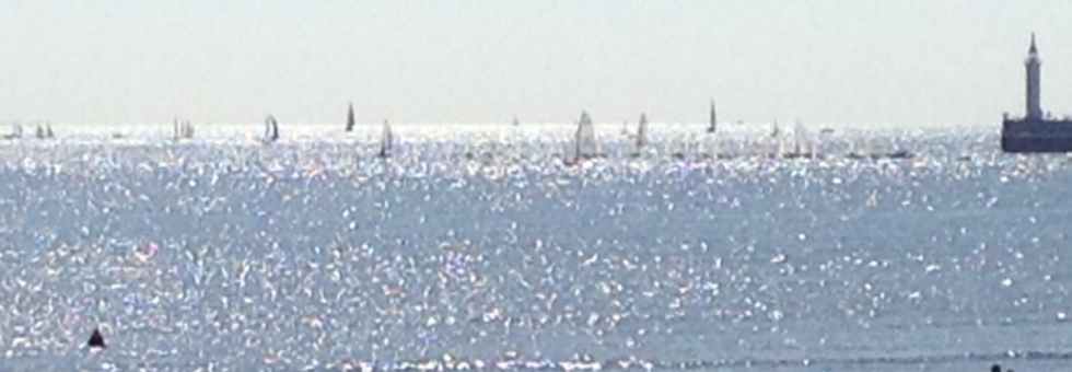 レビュアーのカバー画像