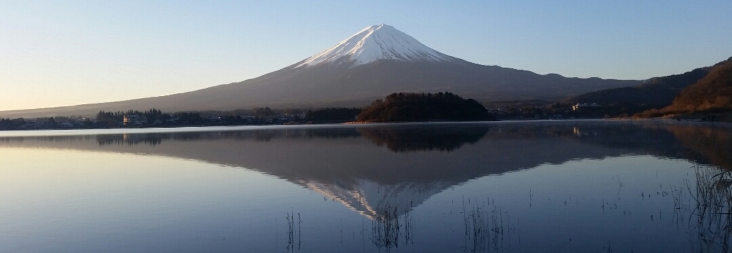 レビュアーのカバー画像