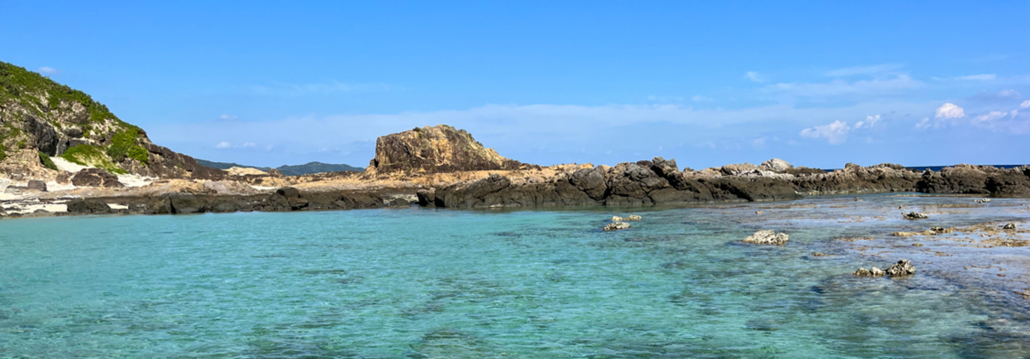 レビュアーのカバー画像